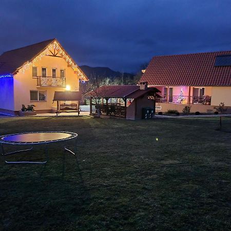 Pensiunea Dan-Ge-La Salasu de Sus Exterior foto