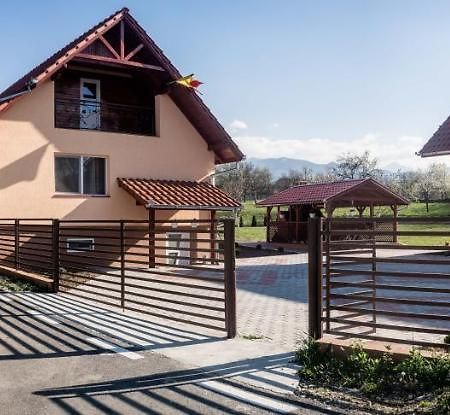 Pensiunea Dan-Ge-La Salasu de Sus Exterior foto