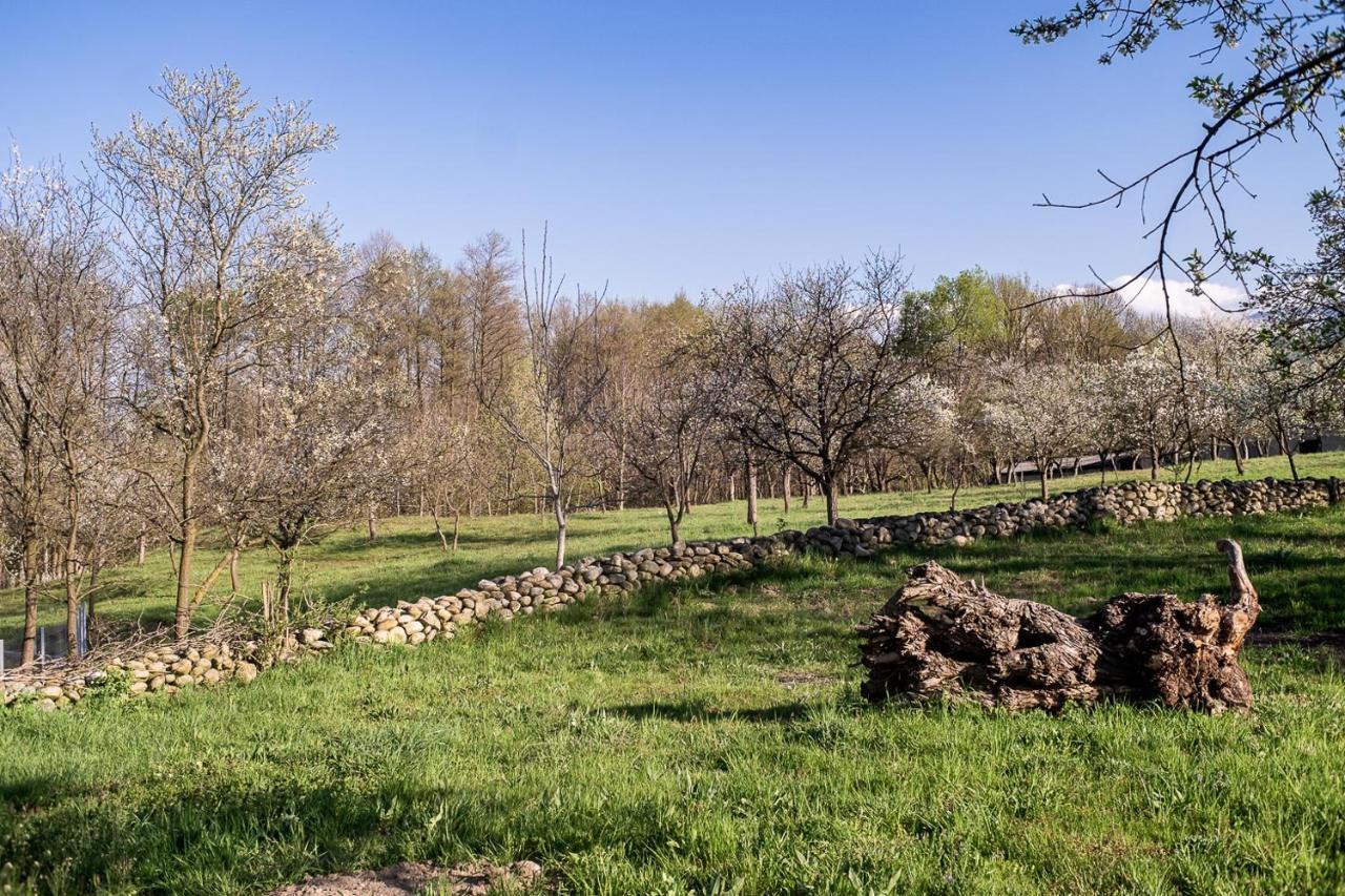 Pensiunea Dan-Ge-La Salasu de Sus Exterior foto