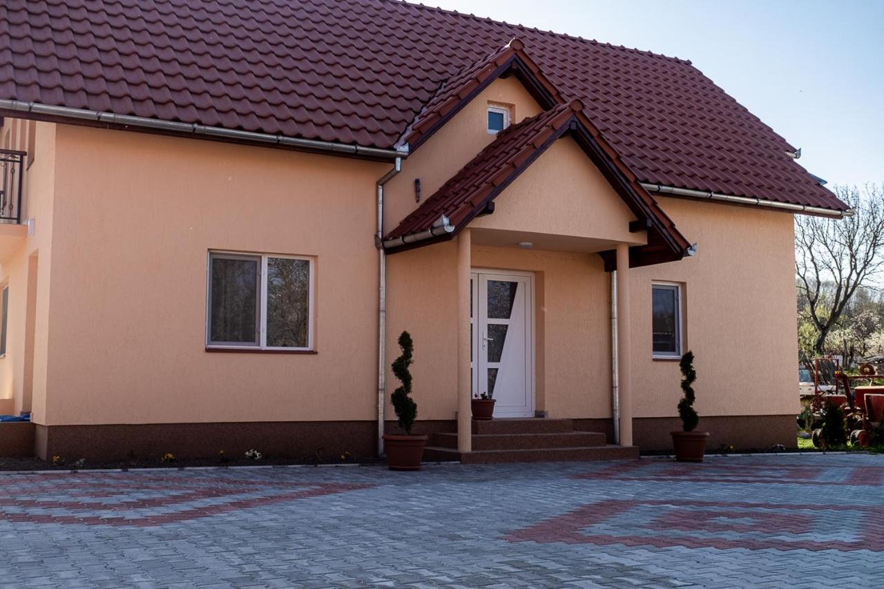 Pensiunea Dan-Ge-La Salasu de Sus Exterior foto