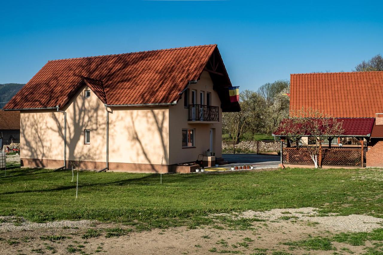 Pensiunea Dan-Ge-La Salasu de Sus Exterior foto