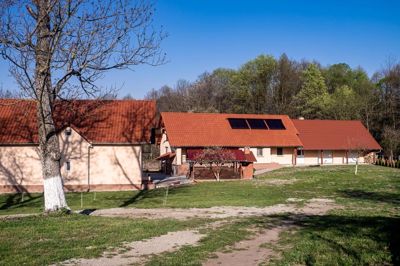 Pensiunea Dan-Ge-La Salasu de Sus Exterior foto