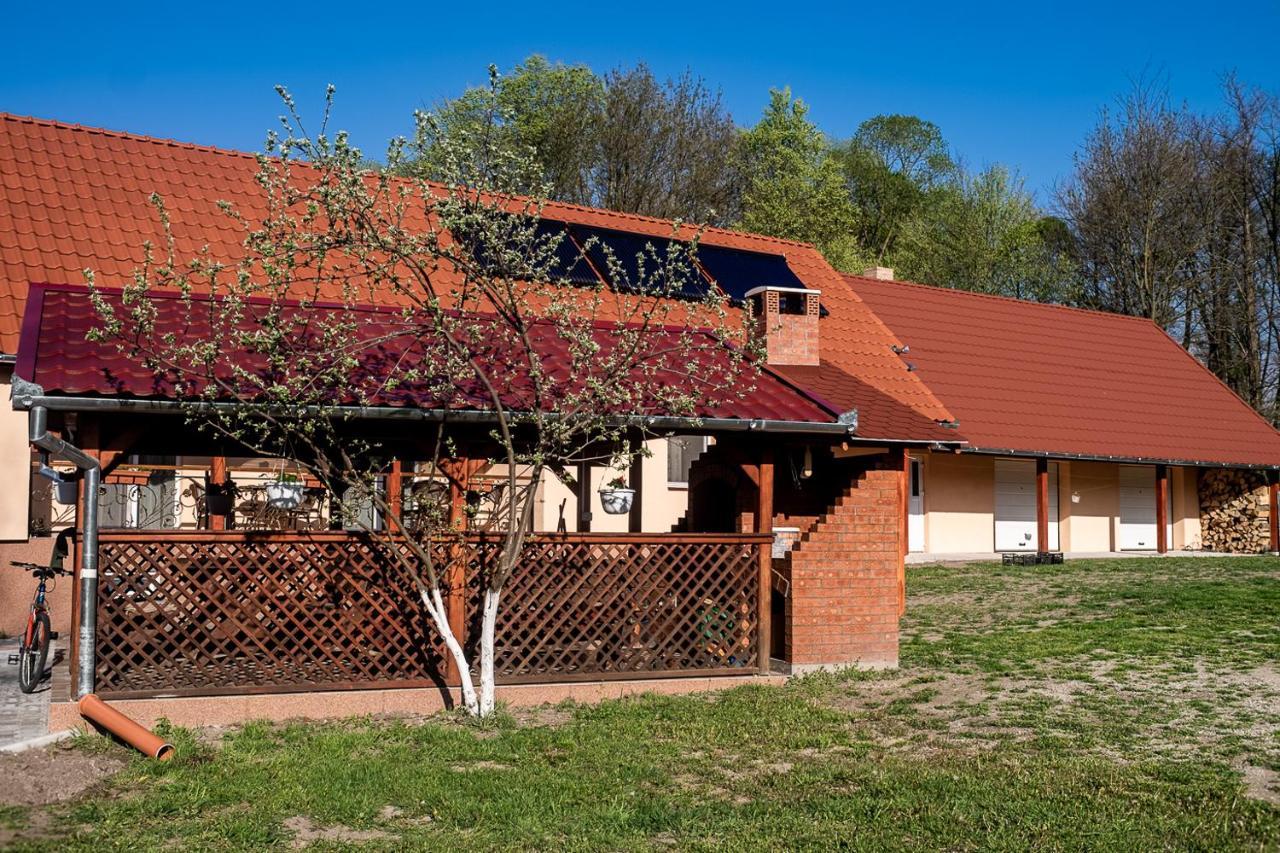 Pensiunea Dan-Ge-La Salasu de Sus Exterior foto