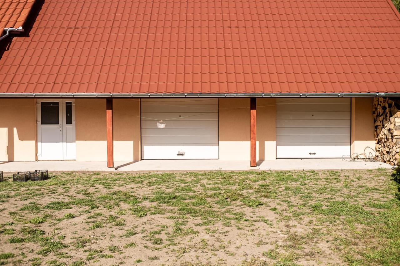 Pensiunea Dan-Ge-La Salasu de Sus Exterior foto