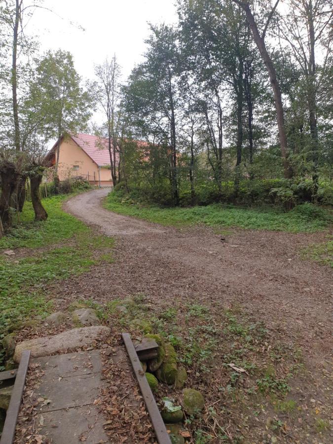 Pensiunea Dan-Ge-La Salasu de Sus Exterior foto
