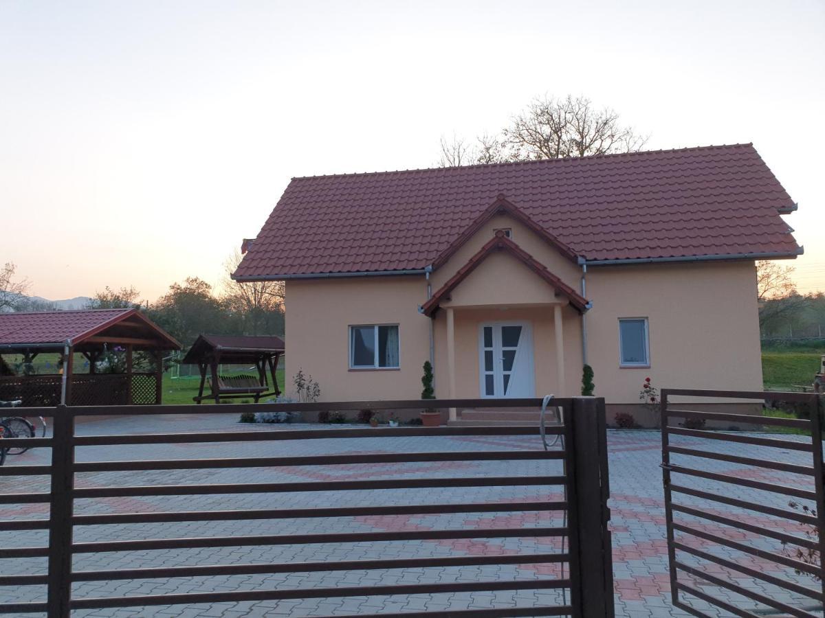 Pensiunea Dan-Ge-La Salasu de Sus Exterior foto