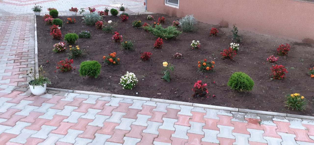 Pensiunea Dan-Ge-La Salasu de Sus Exterior foto