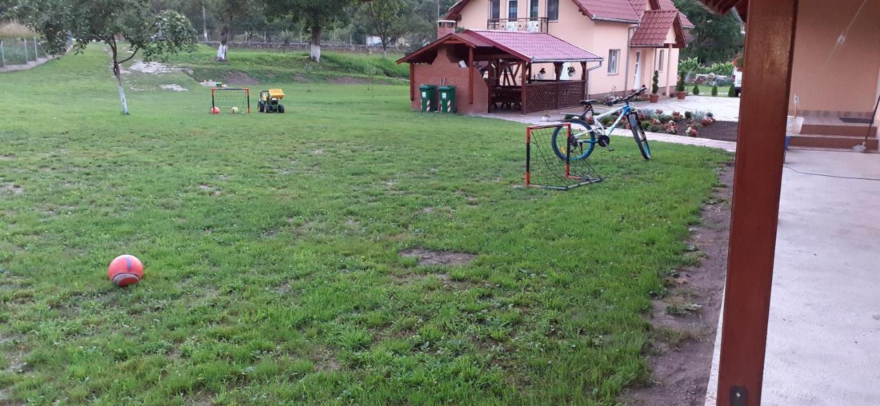 Pensiunea Dan-Ge-La Salasu de Sus Exterior foto