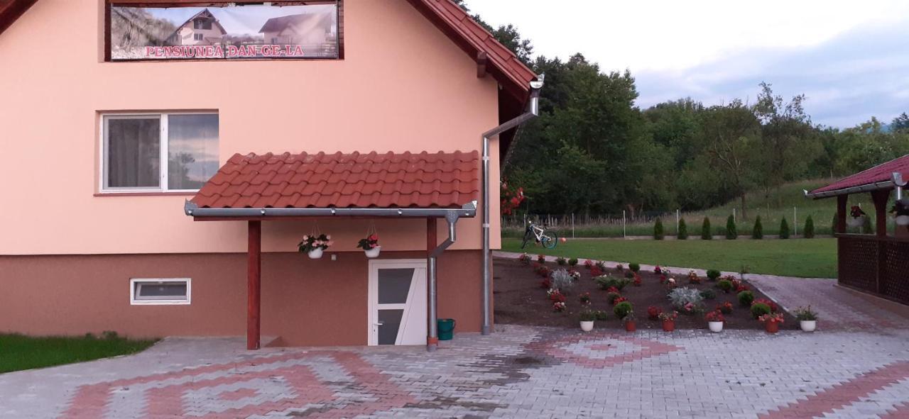 Pensiunea Dan-Ge-La Salasu de Sus Exterior foto