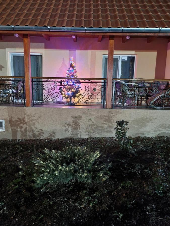 Pensiunea Dan-Ge-La Salasu de Sus Exterior foto