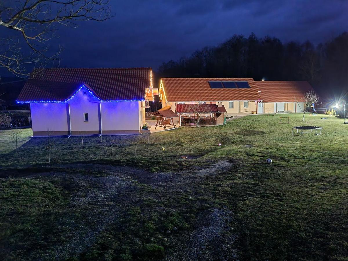 Pensiunea Dan-Ge-La Salasu de Sus Exterior foto