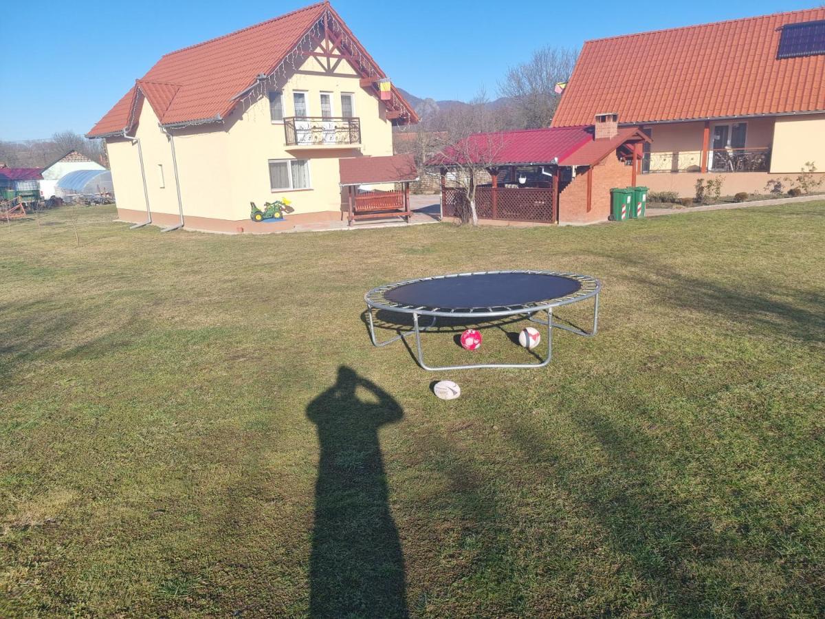 Pensiunea Dan-Ge-La Salasu de Sus Exterior foto
